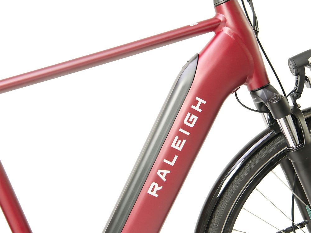 raleigh motus hub gear